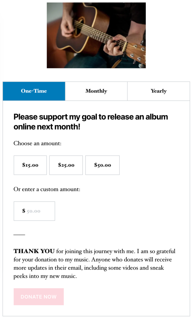 musician-example-1 Start Taking Donations, Tips, and Contributions for Your Creative and Professional Pursuits WordPress 